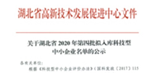 恭喜我司获得武汉市“科技型中小企业”荣誉称号！