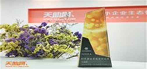 天助网荣获360智慧商业“2020年度最佳营销合作伙伴奖”